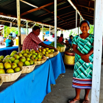 **

"A vibrant scene at the Majuro Local Market in the Marshall Islands. A fully clothed woman, wearing a modest, colorful dress, is browsing handcrafted items like woven baskets and shell jewelry. Stalls overflow with fresh breadfruit, coconuts, and other local produce.  Background shows friendly Marshallese vendors and other shoppers. Perfect anatomy, correct proportions, natural pose, safe for work, appropriate content, fully clothed, professional, high quality photography."

**