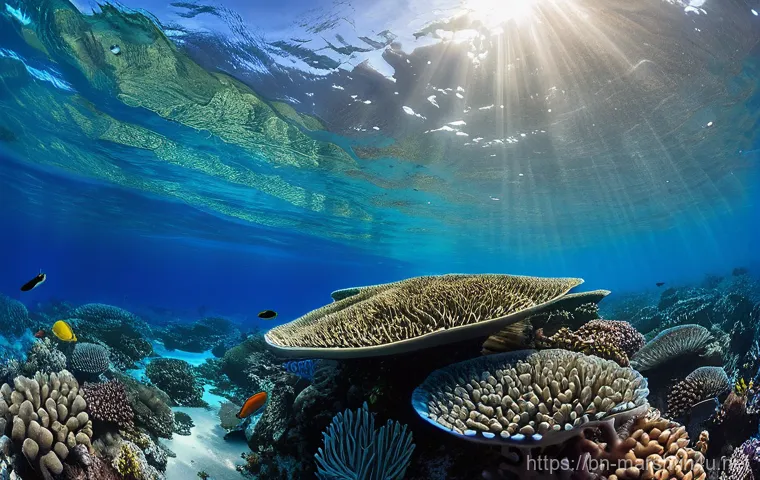 마셜 제도 다이빙 명소 비교 - Historical Wrecks Reclaimed by Nature**
    "An underwater scene at Bikini Atoll, showcasing a magni...