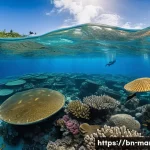 마셜 제도에서의 해양 보호 활동 - A vibrant underwater scene showcasing the coral reef of the Marshall Islands suffering from coral bl...