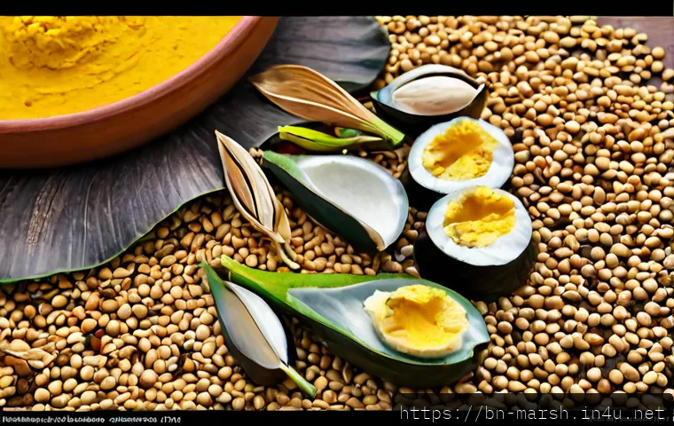 মার্শাল দ্বীপপুঞ্জের ডুবে থাকা যুদ্ধজাহাজ: কোন স্থানগুলো ইতিহাসপ্রেমী ডাইভারদের জন্য মূল্যবান? 4 마셜 제도에서 발견된 해저 보물 및 난파선 관련 이미지 2